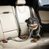 Seat Belt for Dogs with Elastic Bungee Buffer | Car Travel Accessories for Dogs Adjustible, Elastic (Grey)