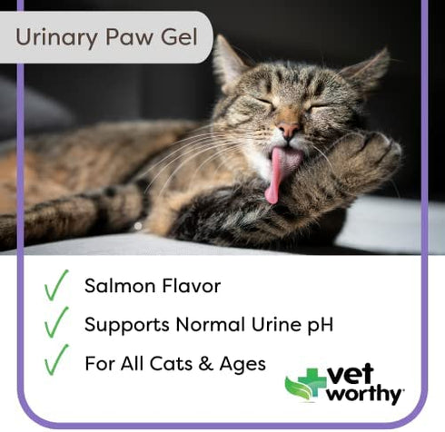 Vet Worthy Urinary Paw Gel for Cats - Cat Supplement to Support Healthy Urinary Tract and Bladder Health - Feline Supplement with Cranberry Extract, L-Lysine and Vitamin C - Salmon Flavor, 3oz