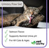 Vet Worthy Urinary Paw Gel for Cats - Cat Supplement to Support Healthy Urinary Tract and Bladder Health - Feline Supplement with Cranberry Extract, L-Lysine and Vitamin C - Salmon Flavor, 3oz