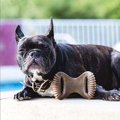 Lumabone Real Bacon Flavored Small Dental Dog Chew Toy