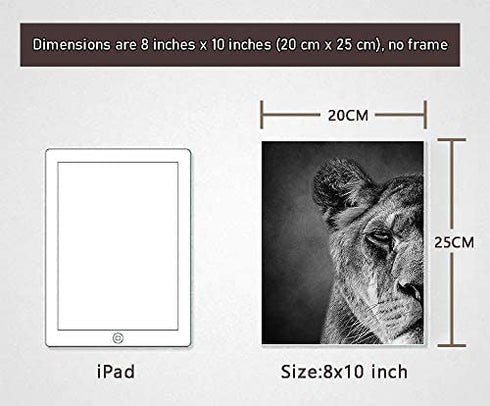 Black and White Theme Wild Animals Lioness Male lion female lion Wall Paintings Set of 2 Wall Art for Bedroom Wall Canvas Decor Wall Art Print Poster for Office Living Home Decor 8X10 inches No frame
