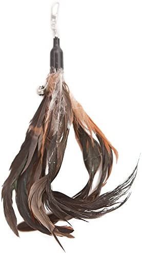 The Natural Pet Company Cat Toys Feather Refill 6 Pack - Add Life to Your Cat's Favorite Toy with This Interchangeable Feather Refill Multipack (As Photographed).