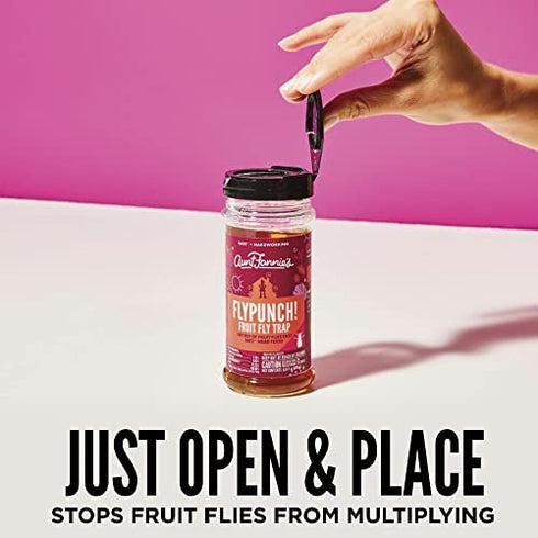 Aunt Fannie's FlyPunch, for Indoor Fruit Fly Use (1-Pack)