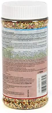 Kaytee Fiesta Tropical Fruit Parakeet Treat, 11-Oz Jar