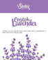 Pure English Lavender Premium Tealight Candles - Highly Scented with Essential & Natural Oils - 6 Purple Tea Lights - Beautiful Candlelight - Made in The USA - Flower & Floral Collection