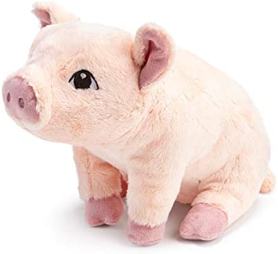 Compendium Flying Pig Plush A Cute Stuffed Animal Companion to The Book Maybe