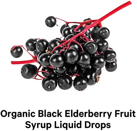Codeage Black Elderberry Syrup, Vitamin C, Vitamin D, Zinc, Black Currant - Black Sambucus Liquid Drops Supplement for Kids & Adults – Elderberries Juice - Flavonoid, Vegan – 2-Month Supply – 4 fl oz