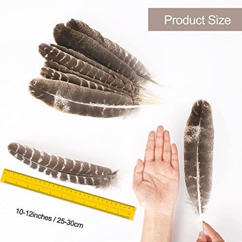 Outuxed 15pcs Natural Turkey Feathers for Crafts, 10-12 Inches Large Feathers for Hat Floral DIY Home Wedding Party Decoration Collection