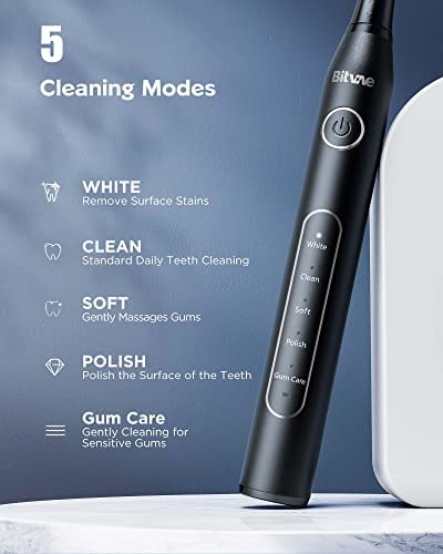 Bitvae Ultrasonic Electric Toothbrushes - Electric Toothbrush for Adults and Kids , American Dental Association Accepted , Rechargeable Travel Sonic Toothbrush with 8 Heads , Black D2