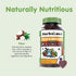 Herbaland Vegan Fruit & Veg Fiber Gummies for Kids - Sugar-Free, Gluten-Free, Gut Health Supplements, Organic, Natural Dietary Supplement, Healthy Digestive System - Black Currant Flavor, 60 Count