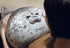MerryXD Chubby Blob Seal Pillow,Stuffed Cotton Plush Animal Toy Cute Ocean Medium(17.6 in)