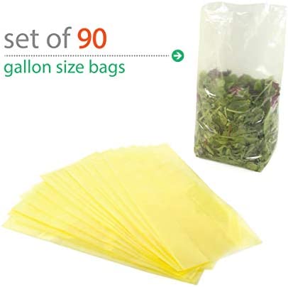 Keep it Fresh Produce Bags – BPA Free Reusable Freshness Green Bags Food Saver Storage for Fruits, Vegetables and Flowers – Set of 30 Gallon Size Bags