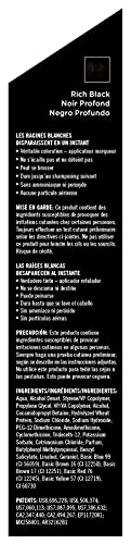 TouchBack PRO Gray Root Touch Up Marker Applicator - Real Hair Color Rich Black