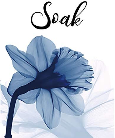 VOUORON Blue Elegant Tulip Relax Soak Unwind Breathe Bathroom Wall Decor Bathroom Wall Art Prints Set of 4 (8”X10” Canvas Picture) Bathroom Spa Woman Girl Bedroom Art Painting Home Decor Unframed