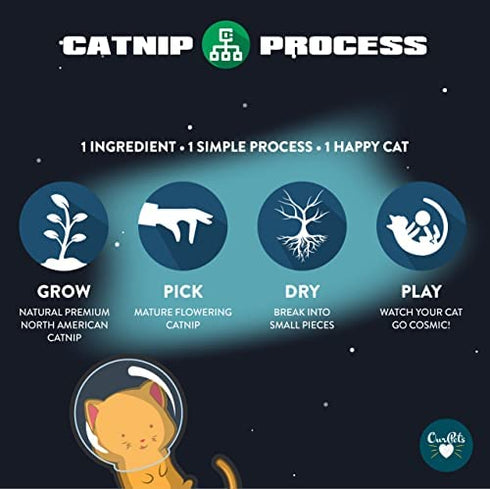 Our Pets Premium Catnip - 1.25 oz Jar of High Potency Catnip - 100% North American Grown