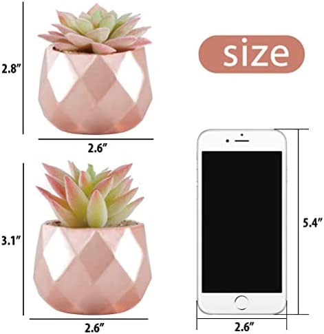 Artificial Plants Desk Fake Succulents Indoor Decor Office Room Decoration Small Tiny Realistic Plants in White Ceramic Potted (Pink-Gold)