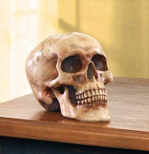 Grinning Highly Realistic Replica Human Skull Statue Home D©cor 6.5x4.25x4.6"