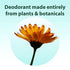 All Good Deodorant, No Aluminum, Vegan (Rose Geranium & Jasmine)(2-Pack)