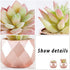 Artificial Plants Desk Fake Succulents Indoor Decor Office Room Decoration Small Tiny Realistic Plants in White Ceramic Potted (Pink-Gold)