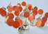Orange Reflective Tacks 100 Pack Trail Marking Tacks, Glow Tacks, Hiking Markers, Trail Marking Reflectors, Mark Trail Reflective Thumb Tacks for Hunting, Orange Tacks with Included LED Keychain Light