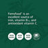 Standard Process Ferrofood - Whole Food Antioxidant, Healthy Blood and Hemoglobin with Cyanocobalamin, Acerola, Shiitake, Rice Bran, Organic Carrot, Alfalfa, Spanish Moss - 40 Capsules