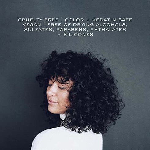 Kristin Ess Hair Ultra Hydrating Curl Leave-In Cream Conditioner for Curly Hair with Frizz Control, Humidity Shielding, Vegan, Color + Keratin Safe, 8.45 fl oz