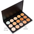 SHANY Professional Cream Foundation and Camouflage Concealer - 15 Color Palette