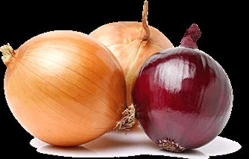 Onion Juice & Fermented Rice Water Elixir (Keep Your Scalp Healthy-Healthy Scalp=Healthy Hair Growth) 2oz