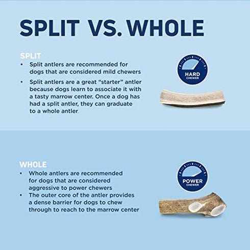 Barkworthies Hand Selected Naturally Shed Large Split Elk Antler (Single Antler) - Long Lasting, Odor Free Dog Chew for Large Dogs - No Chemical Treatments, No Added Preservatives