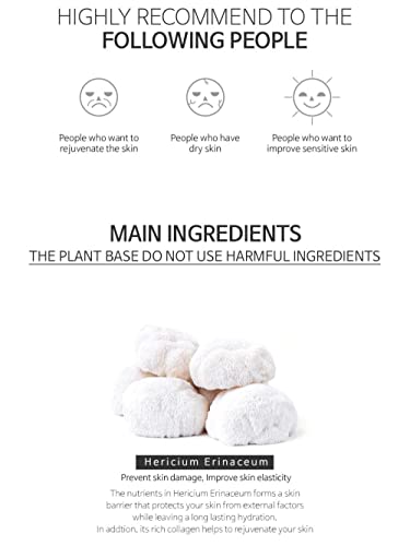 THE PLANT BASE Time Stop Collagen Ampoule 20ml Mushroom Extract 76.53% K-beauty