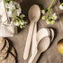 Greenly Wood 200 Pack Disposable Wooden Utensils Set | All Natural Birchwood Biodegradable Compostable Cutlery (100 Forks, 50 Spoons, 50 Knives)