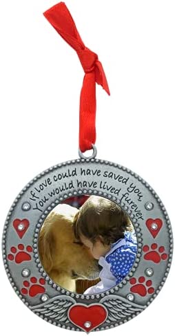 In Loving Memory Pet Ornament - Dog Memorial Christmas Photo Ornament - Furever in My Heart - Red Hearts with Angel Wings & Paw Prints - Cat Sympathy Gifts - Loss of a Pet - Gift/Storage Bag Included