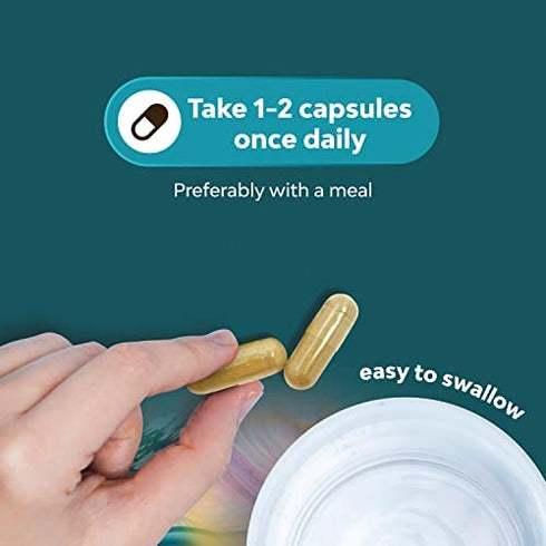 Potent L Tyrosine 500mg Capsules - Amino Acid Nutritional Supplement for Brain Health Thyroid Support - L-Tyrosine 500mg Brain Supplement for Memory and Focus Support
