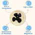 ORGANIC Prunes - Sunny Fruit - (5) 1.06oz Portion Packs per Bag | Purely Dried Plums - NO Added Sugars, Sulfurs or Preservatives | NON-GMO, VEGAN & HALAL