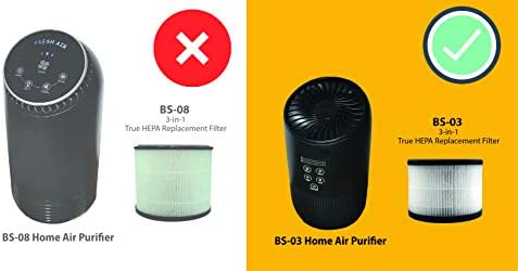 Flintar BS-03 H13 True HEPA Replacement Filter, Compatible with PARTU and SLEVOO BS-03 HEPA Air Purifier, 2-Pack