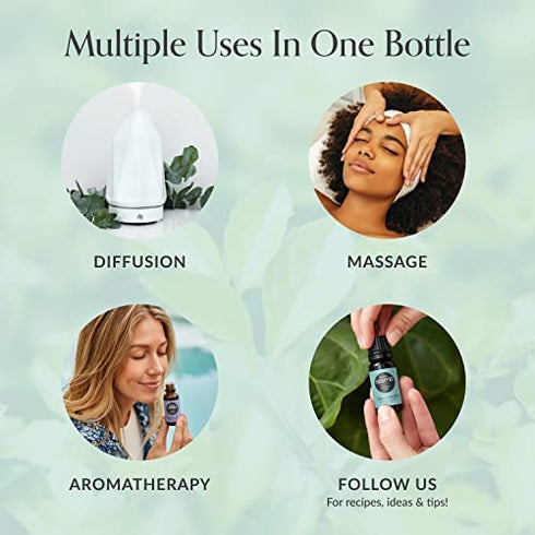 Edens Garden Helichrysum- Gymnocephalum Essential Oil, 100% Pure Therapeutic Grade (Undiluted Natural/ Homeopathic Aromatherapy Scented Essential Oil Singles) 10 ml