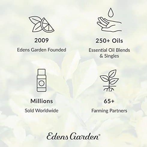 Edens Garden Helichrysum- Gymnocephalum Essential Oil, 100% Pure Therapeutic Grade (Undiluted Natural/ Homeopathic Aromatherapy Scented Essential Oil Singles) 10 ml
