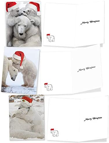 The Best Card Company Variety Pack of 10 Christmas Greeting Cards with Envelopes, Humor Holiday Assortment for Men and Women (10 Designs, 1 Each) - Bear Hugs AM6327XSG-B1x10