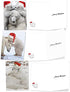The Best Card Company Variety Pack of 10 Christmas Greeting Cards with Envelopes, Humor Holiday Assortment for Men and Women (10 Designs, 1 Each) - Bear Hugs AM6327XSG-B1x10