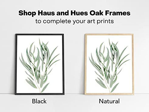 HAUS AND HUES Botanical Plant Wall Art Prints - Set of 4 Plant Wall Decor Prints, Floral Kitchen Plant Pictures, Flower Leaves Wall Art, Boho Leaf Eucalyptus Wall Décor