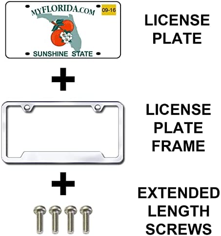 Prime Ave Stainless Steel License Plate Screws for Mercedes Benz (Extended Length)