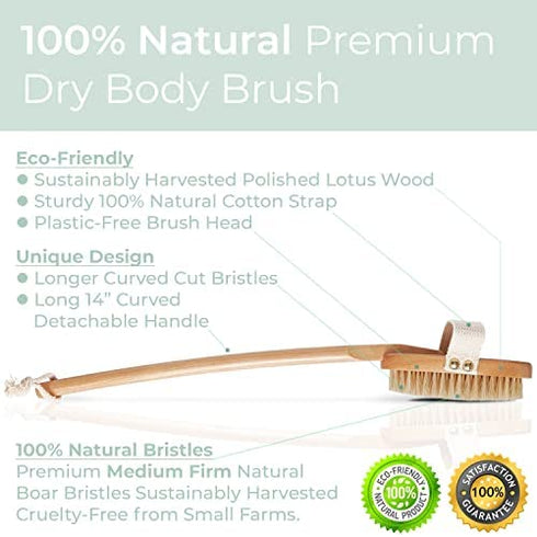 Zen Me Premium Boar Bristle Brush, Exfoliating Brush with Firm Natural Bristles for Cellulite and Lymphatic, Body Scrub Brush for Experienced Users, with Detox eBook Gift