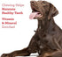 DreamBone Triple Flavor Dumbbells with Chicken 10 Count, Rawhide-Free Chews for Dogs