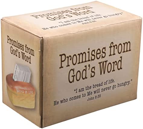 Christian Art Gifts Bread of Life Scripture Cards in Double-Sided Polystone Holder - John 6:35 Inspirational Bible Verses, Prayers & Promises, Multicolor for Home & Kitchen in Gift Box, 106 Cards