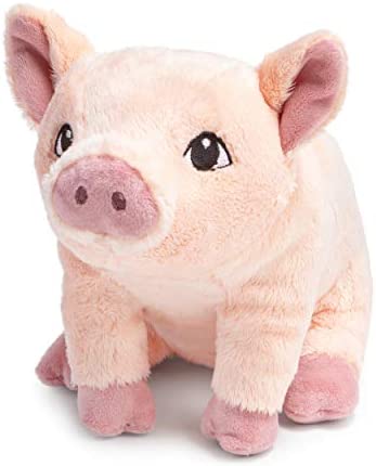 Compendium Flying Pig Plush A Cute Stuffed Animal Companion to The Book Maybe