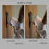 European Mount Skull Hanger - Display Your Deer Skull Mount with Pride, Uniquely Designed European Deer Mount Bracket, We Created Our Skull Hooks to be Noticed, Feature Your Deer Skull