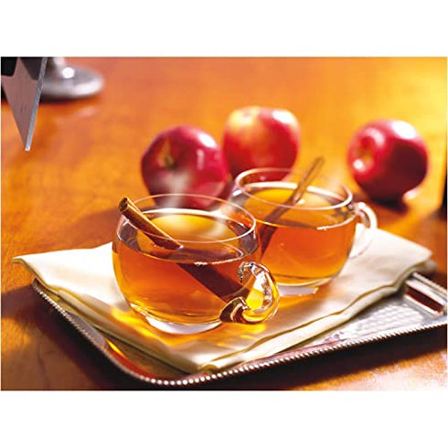 Alpine Sugar-Free Spiced Apple Cider Mix - Pack of 2