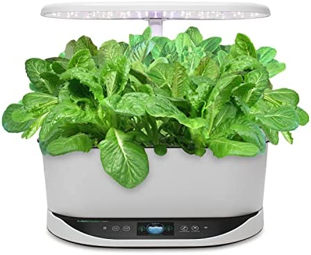 AeroGarden Mixed Romaine Lettuce Seed Pod Kit (9-pod)