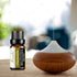 Chamomile Essential Oils Sets for Diffuser, Humidifier, Massage, Sleep, Bath, SPA, Skin & Hair Care-2 Pack x10ml