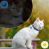 KOOLTAIL Cat Collar Breakaway with Bells - 6 Pack Glow in The Dark - Stars & Moon Charm Pendent Pet Reflective Collars Ideal for Kitten Cats Puppy